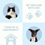 Pet Care, Pet Clinic, Veterinair